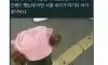 핑크색 모자를 쓴 꼬맹이