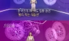 한국남자 평균식사시간