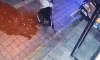 불쌍한 알바 대참사