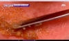 의외로 맛있다는 음식 조합들.jpg