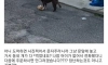개빡친 배달리뷰