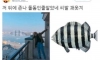 깜짝이야