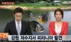 강원도 아마존 피라냐 방류사건