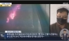 전동킥보드 때문에 15억날라간 사장님