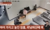 헬스장에서 테러당한 중국인 ㄷㄷ