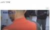 작년 역대급 오징어 풍년이었는데 비쌌던 이유