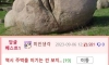 돌에 주먹 넣었는데 안빠짐