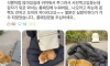 고양이한테 롱패딩 뺏긴 사람