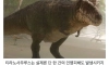 영화때문에 이미지 나빠진 동물 원탑