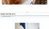 동거녀 퓰리쳐상