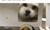 포장 바꿔주세요