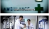 7년키운 개가 딸을 물어죽임