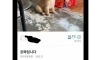 당근마켓에 올라온 공짜 강아지