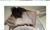 난 이 부위 두툼한 게 그렇게 좋더라