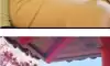 갑질 했어도 나락을 안 간 이유