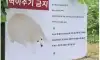 정직한 표지판