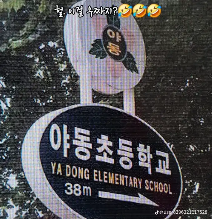 202505021258337926d1db497dfecfc83f8bdf58f7b9a9.png