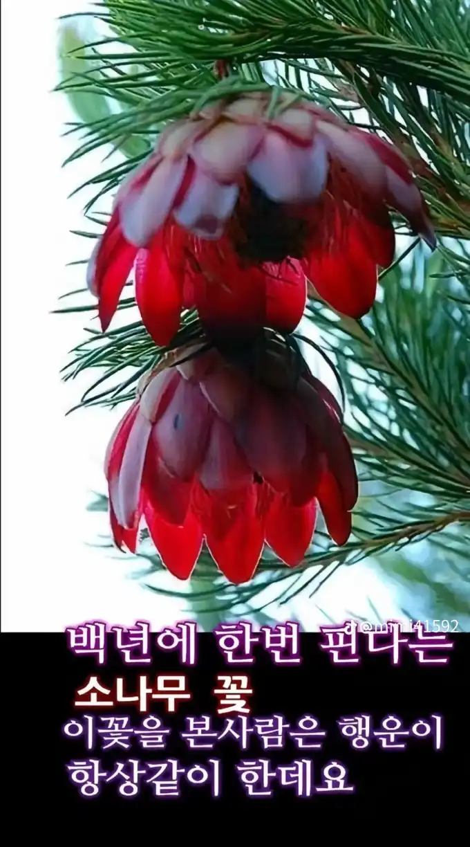 2025061011130820113ff1a74cfb9efd47a6d8065249de.png