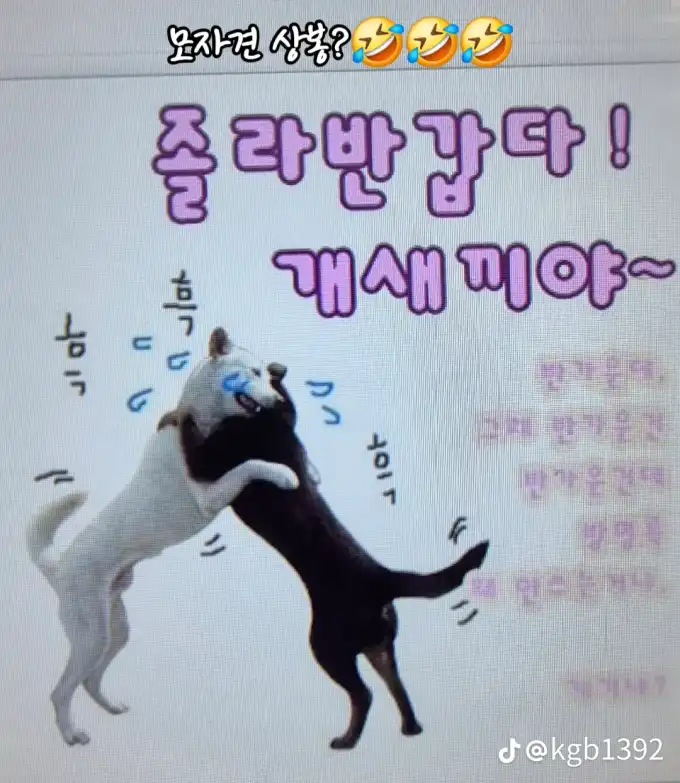 20250722122105906de8b962f2610ed38f6fe1944c1cd3.png