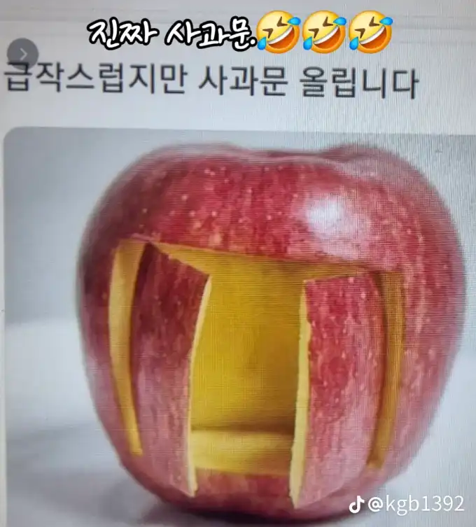 202507291009145bb18ea00517e09f8b8158a62a001d88.png