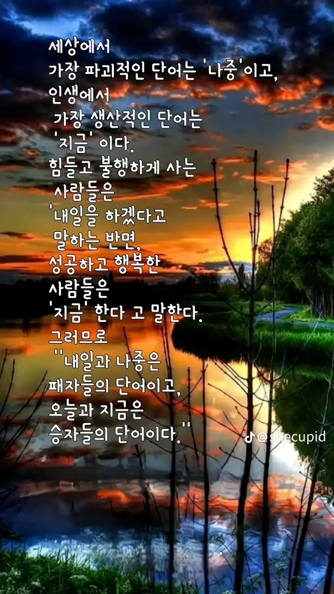 202509150947403d3a210c036a197225955f8f8fd623c8.png