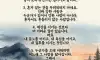 삶의 통찰