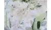 갈등을 유발하는 음식