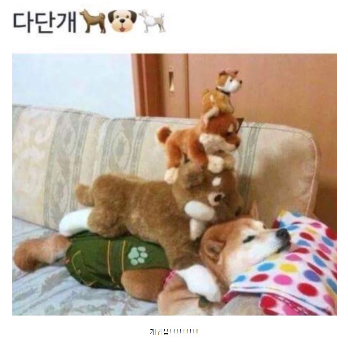 5f309ff7e9d00fe4b937e80b518b441e.jpg 다단계 현황