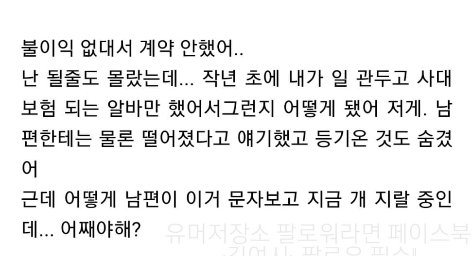 666ee6299c521919a83478e0f5095828.jpeg 남편에게 임대주택 당첨 숨긴 여시녀