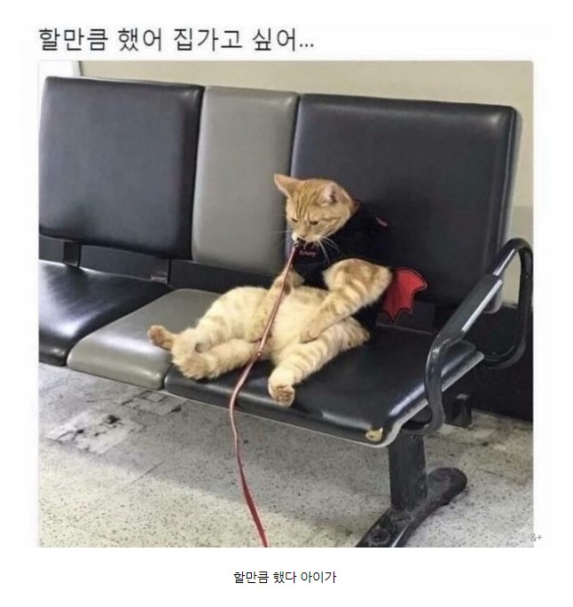 bec06fbebbaf2255c4e04e23d36f56df.jpg 뻥프리만 몇번째인지///