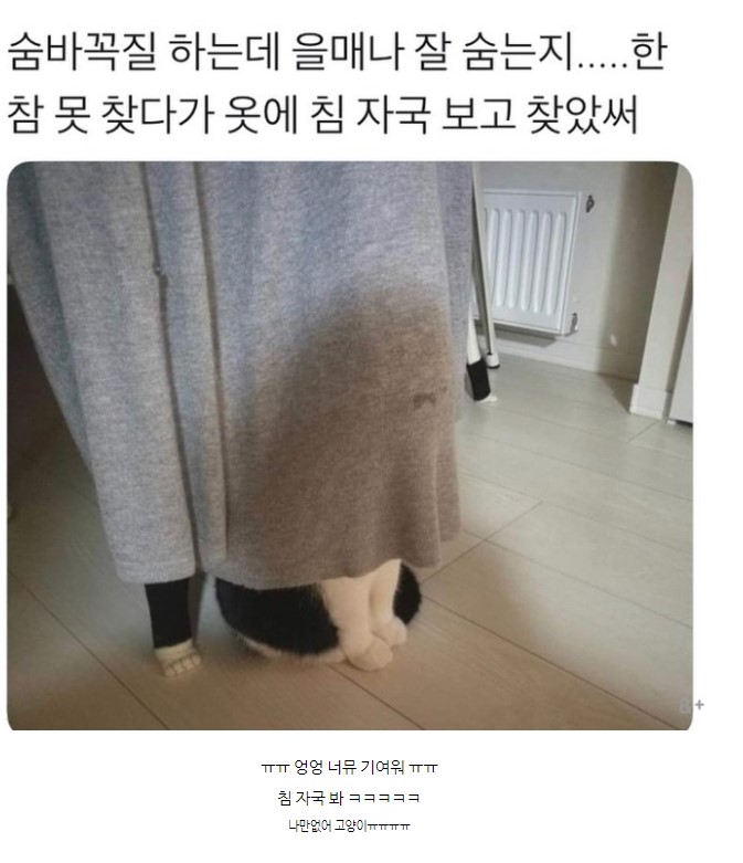 d394b861a344b87a22c97680ce2ffd41.jpg 꼭꼭 숨어라~