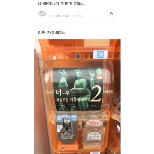 f6f5e1889064ccda3b8f3975c9bcee34.jpg 진짜 자유로운 여신상