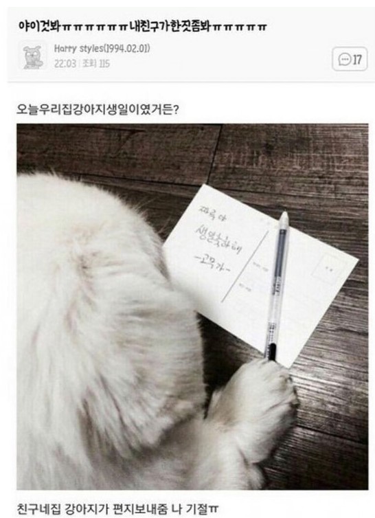 ㅋㅋㅋ주인들이 더 신났지