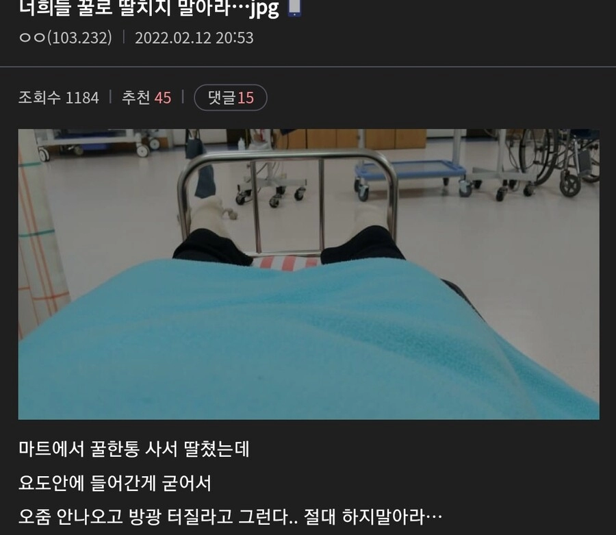 9e220774da429a1fe48dcfd699f77017.webp 꿀로 딸치다 병원간 디씨유저.jpg