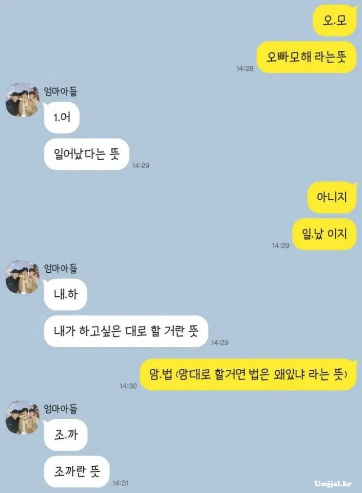 a0d7716dc2a93e7f4b8fd14266929b8b.webp 누가 봐도 친남매 카톡.jpg