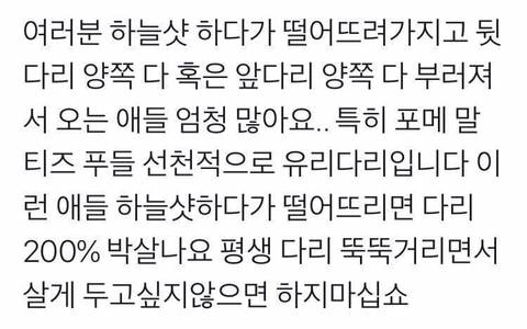 12101122ec0312e04297385bcfc65ddb.webp 인스타 사진때문에 학대당하는 댕댕이들