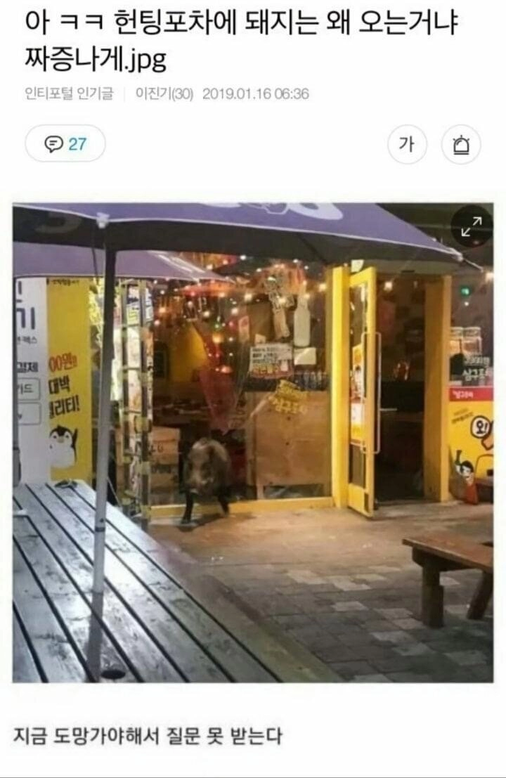 17e5210c286dba6a6a507b4b98b28a76.webp 헌팅포차에 돼지는 왜 오는거냐 짜증나게ㅋㅋ