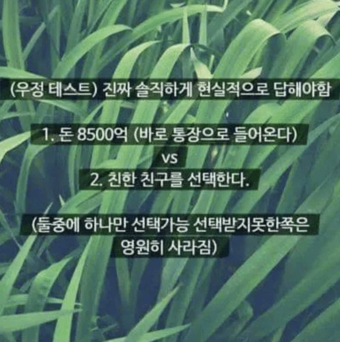 9d02ccd1cf5a4ce726f4dc21da3c1c28.webp 8500억 vs 친한친구