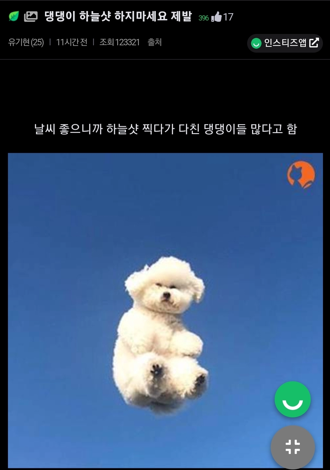 eca7651608ec6d992c3d2720260c9452.webp 인스타 사진때문에 학대당하는 댕댕이들