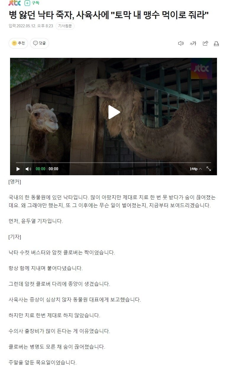 7440becf69e19184d2965bb18a6c6f80.webp 병 앓던 낙타 죽자, 사육사에 '토막 내 맹수 먹이로 줘라'