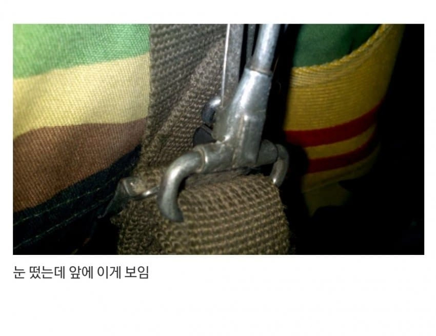 e115dd48053dedcabff41458c5f245d6.webp 군대에서 불침번 서다 소름끼칠 때.jpg