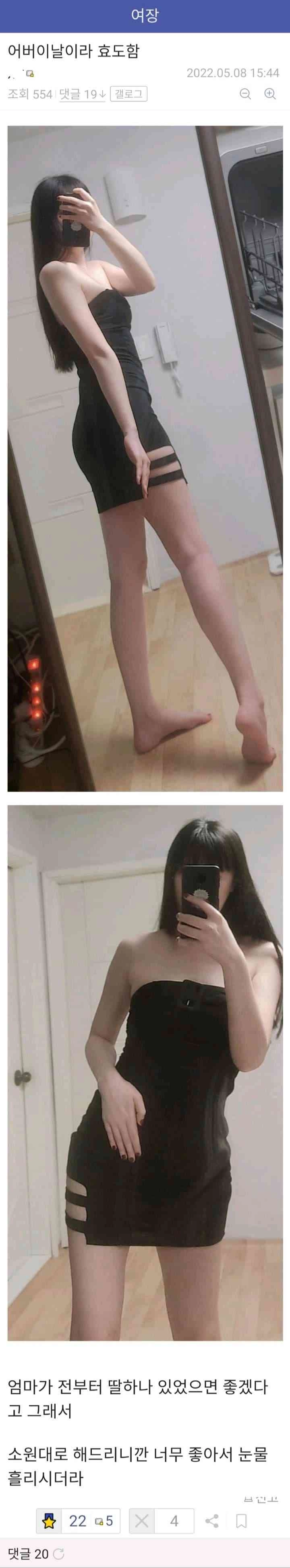 f47855901d2de2dbb8ecb3441d4b744f.webp 어질어질 디씨식 효도
