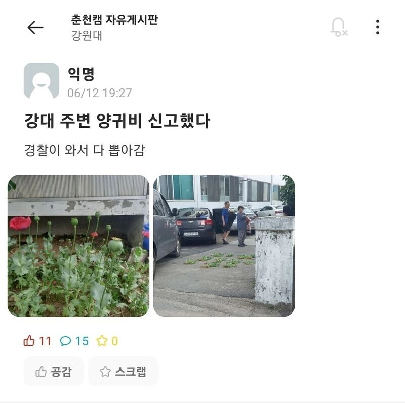 24df6298798dbfc598fc6b489f29646e.webp 오싹오싹 강원대
