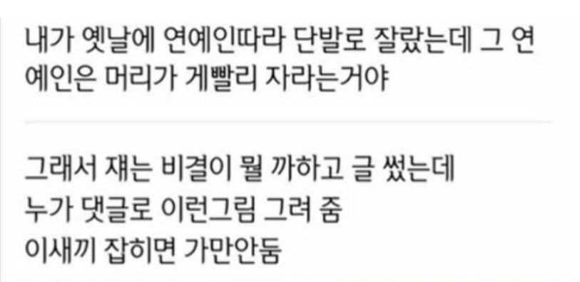 2e2cb2da662e37bf48f5b760a14e7ff4.webp 여자연예인 머리가 빨리 자라는 이유.jpg