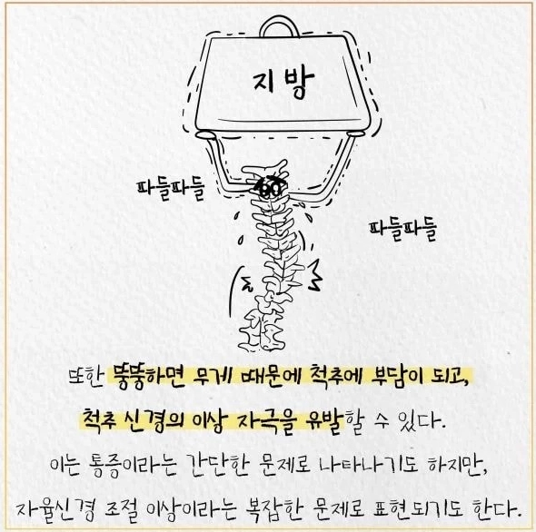 33ca1f78dedfdbd2fa881b5f5112bb85.webp 살 찌면 더위 많이 타는 이유 .jpg