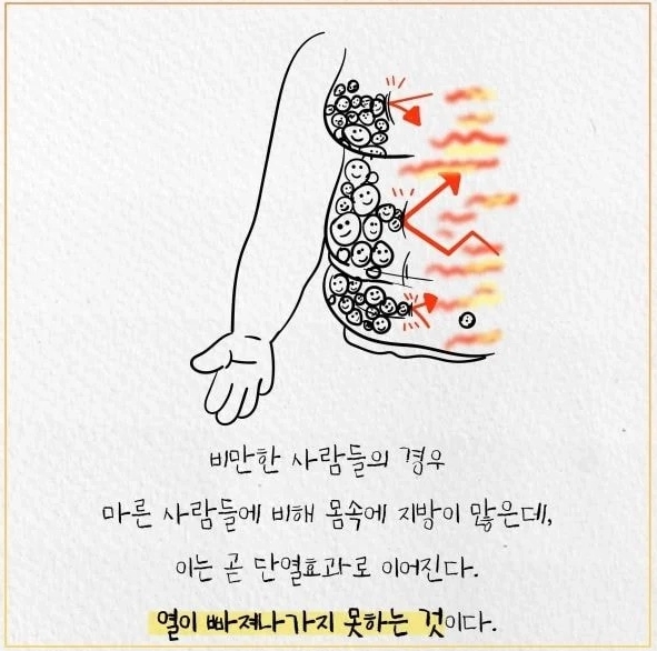 35f1579663b6c7017307b8895196d4b4.webp 살 찌면 더위 많이 타는 이유 .jpg