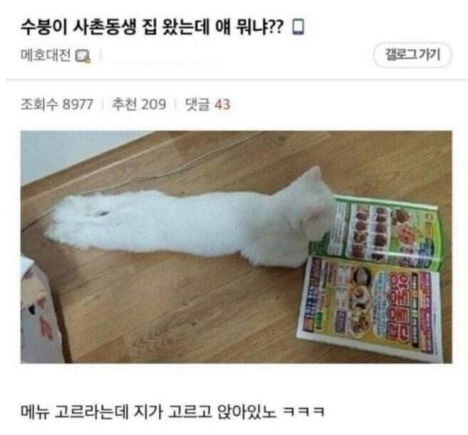 3e268232e08742f5ee48dcf778e3d695.webp 사촌동생 집 왔는데 얘 뭐냐??