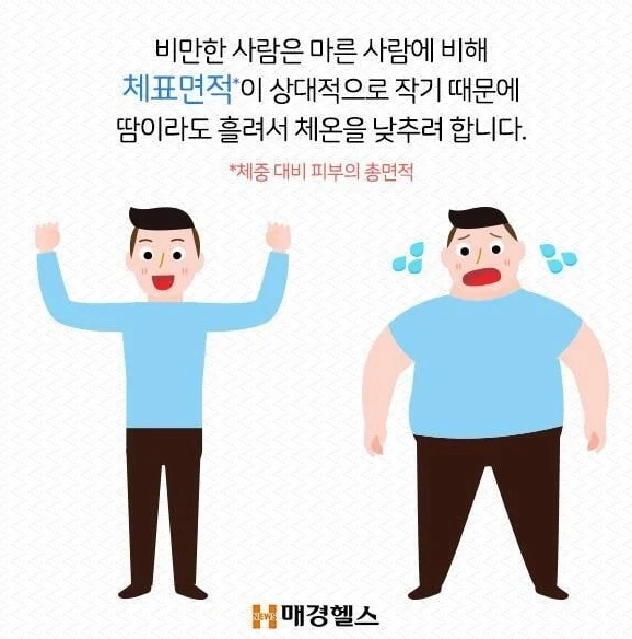 668a0fd3e45e532fecacaff487742f8d.webp 살 찌면 더위 많이 타는 이유 .jpg