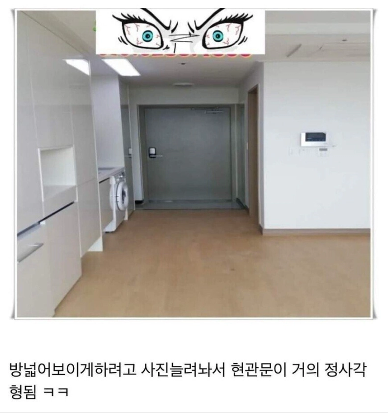 b009180a3debecd6b7912c2232f45924.webp 원룸 매물 근황 ㄷㄷ.jpg