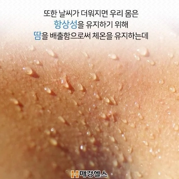 d2fa4dd7cd8396b118950a10a2d0b294.webp 살 찌면 더위 많이 타는 이유 .jpg